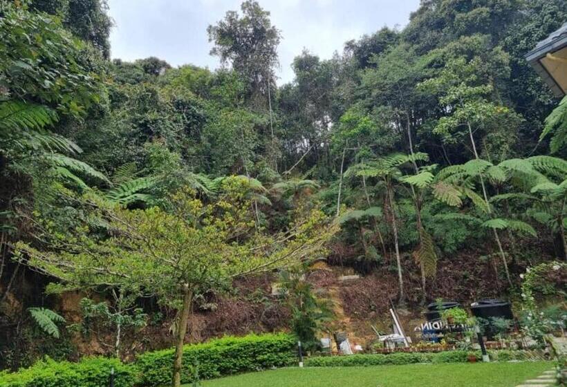 پانسیون Arundina Cameron Highlands