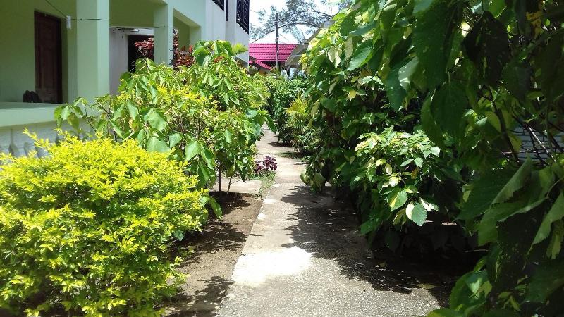 پانسیون Roots Bamboo Beach Resort