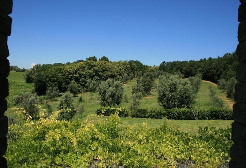 هتل Tenuta Di Monaciano