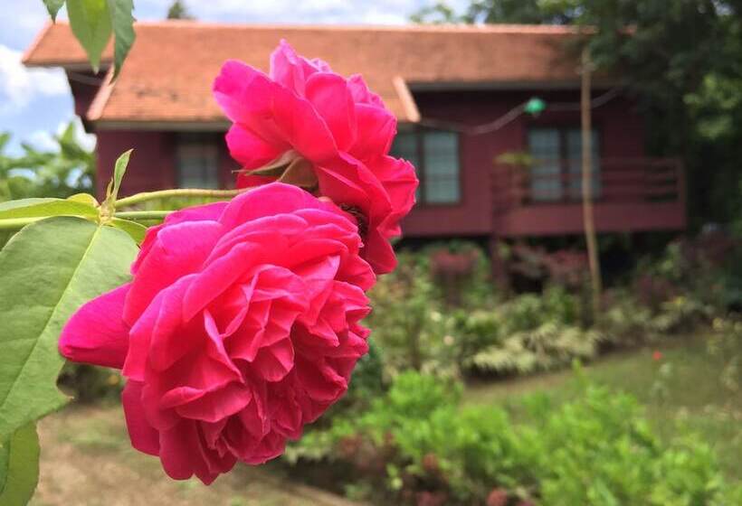 هتل Chiangmai Royal Creek