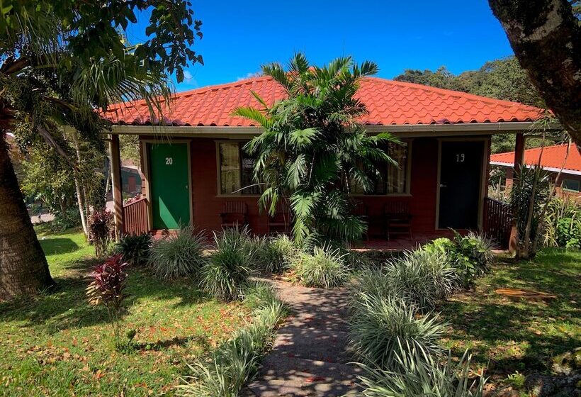 Fotos del hotel Montaña Monteverde:  34