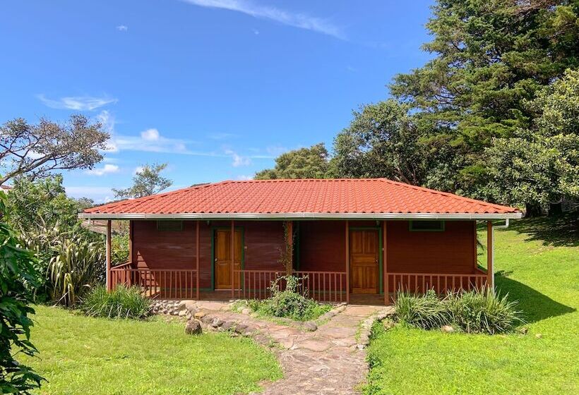 Fotos del hotel Montaña Monteverde:  36