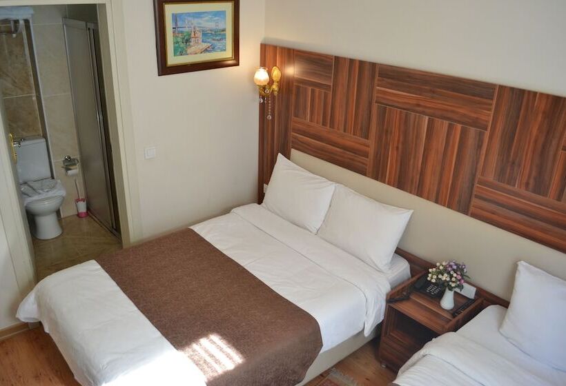 Fotos del hotel New Fatih:  4