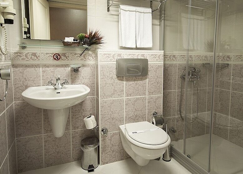 Fotos del hotel Viva Deluxe:  10