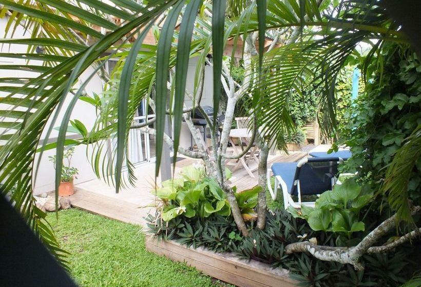 Rarotonga Daydreamer Escape