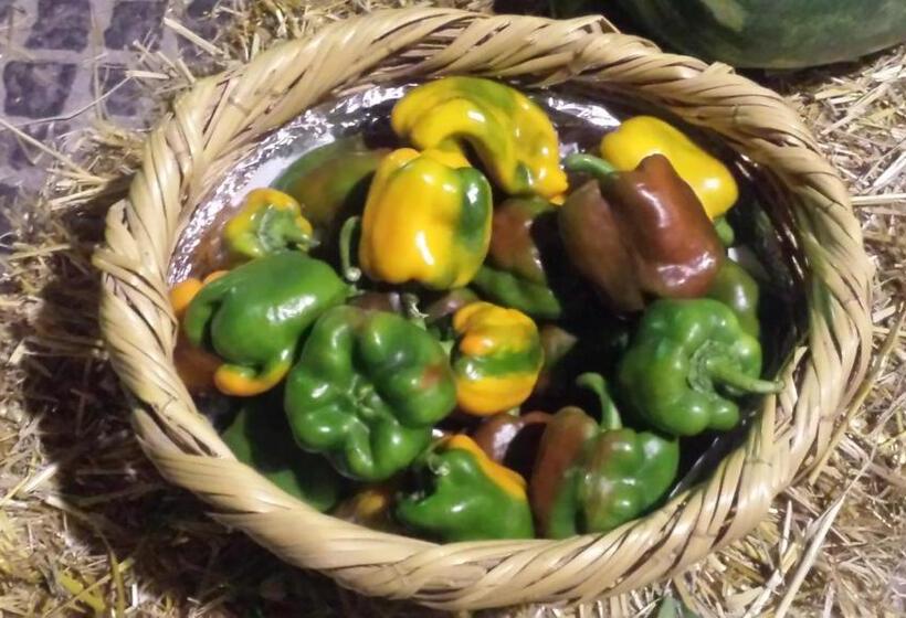 مبيت وإفطار Palazzo Madeo   Residenza D Epoca