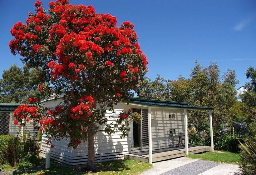 בית מלון כפרי Beauty Point Tourist Park