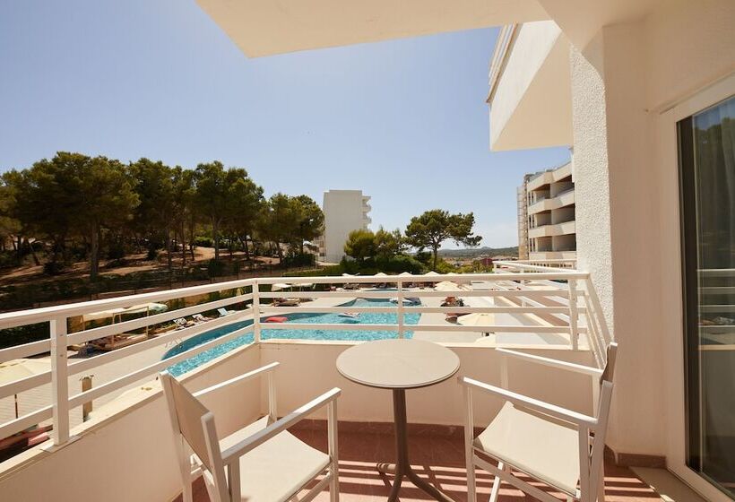 Fotos del hotel Dreams Calvià Mallorca:  21