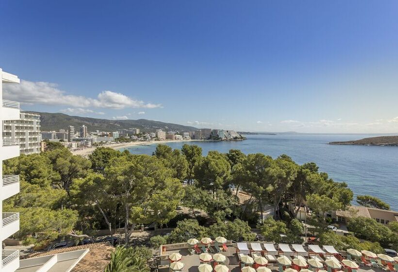 Fotos del hotel Dreams Calvià Mallorca:  20