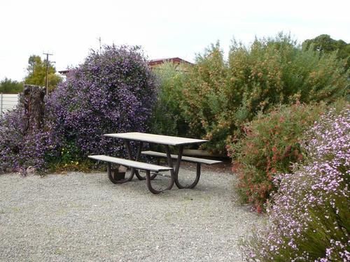 Отель Gladstone Caravan Park South Australia