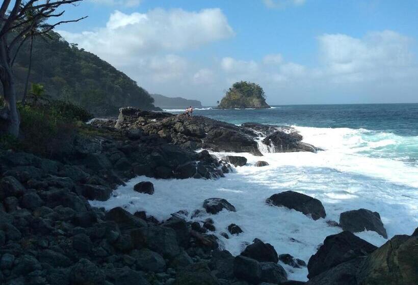 هتل Hostal Capurgana