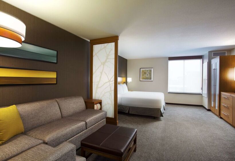 هتل Hyatt Place Chicago Midway Airport