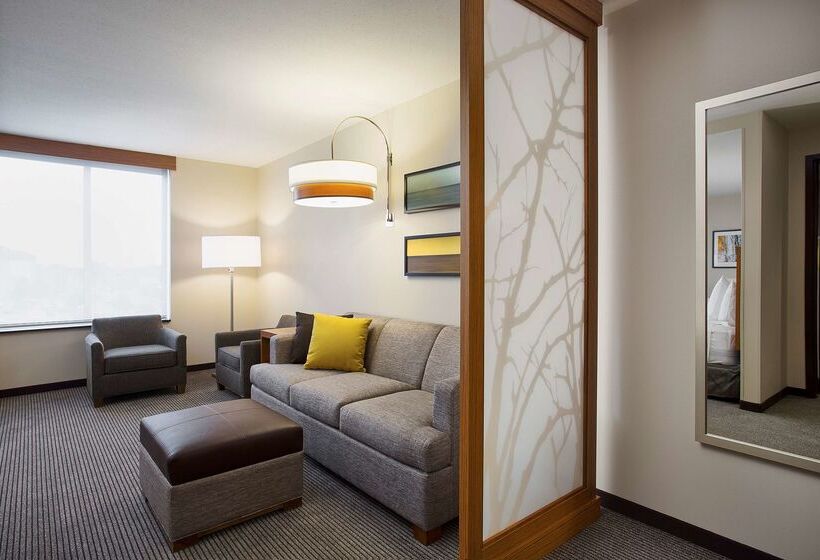 Hotel Hyatt Place Chicago Midway Airport