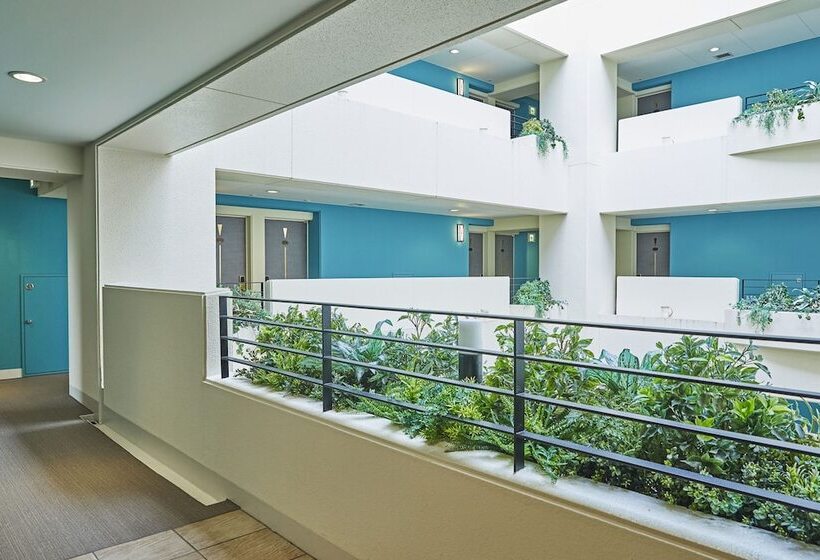 Fotos del hotel Lumiere Kasai:  14