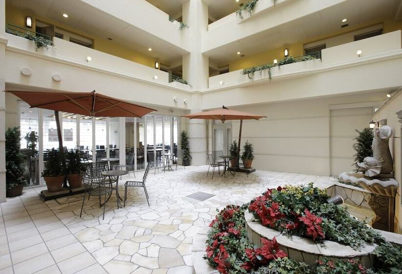 Fotos del hotel Lumiere Kasai:  20