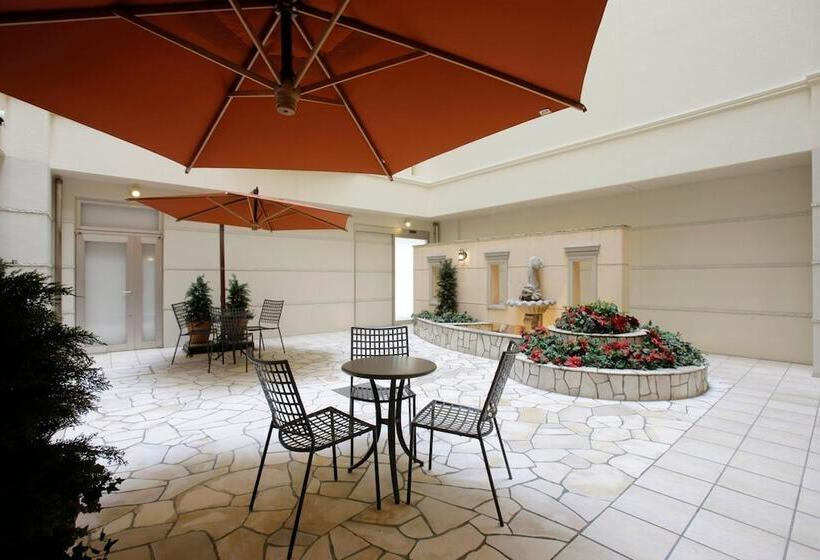 Fotos del hotel Lumiere Kasai:  19