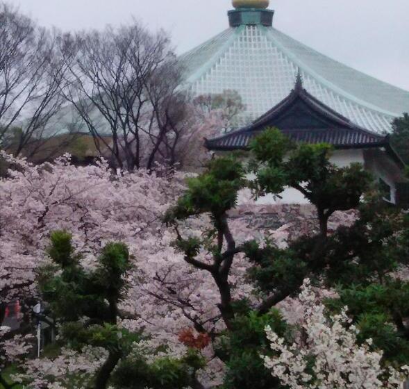 Fotos del hotel Sotetsu Fresa Inn Ochanomizujimbocho:  12