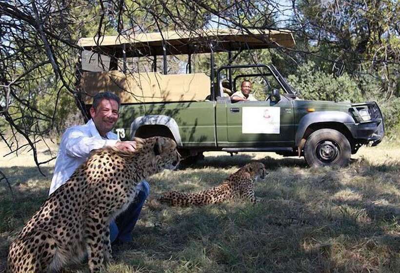 فندق Thandeka Game Lodge & Spa