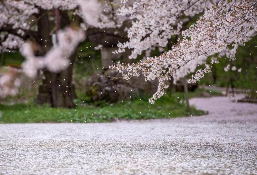 Fotos del hotel Tsubakino:  47