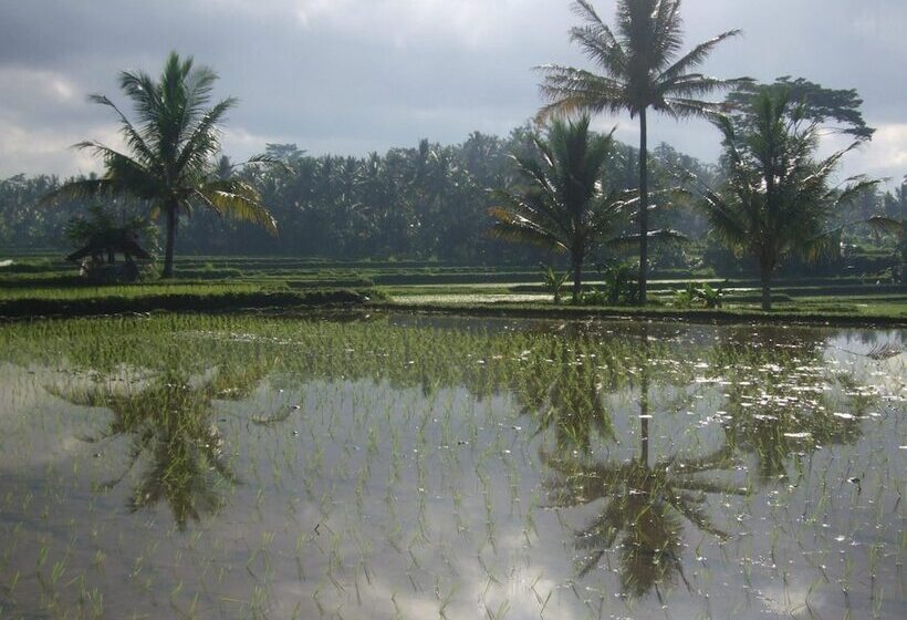 Fotos del hotel Villa Puri Darma Agung:  18