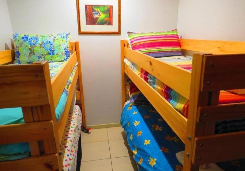 모텔 Daintree Rainforest Retreat