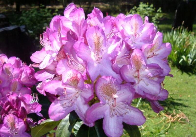 مبيت وإفطار Oyster Cove Chalet