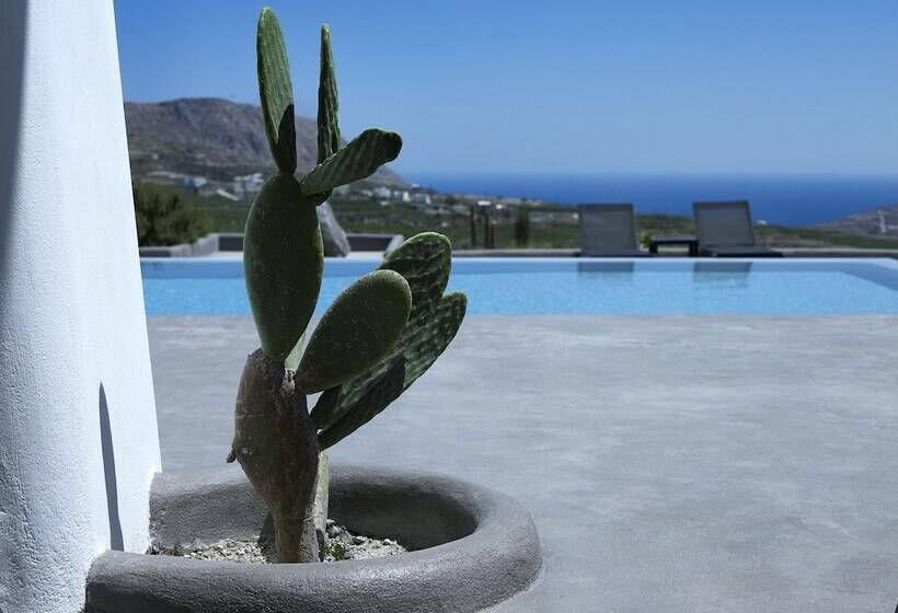 Christou Estate