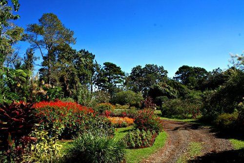Eden Nature Park And Resort