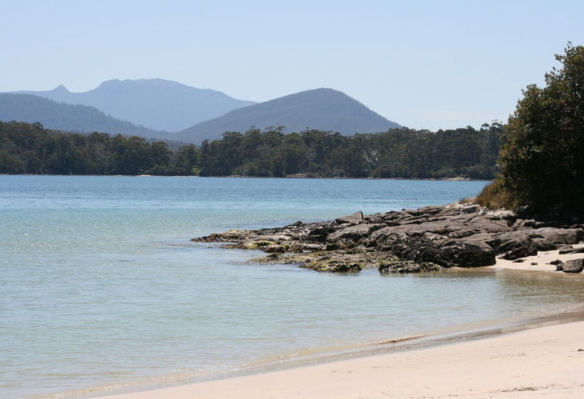 The Shackeau
