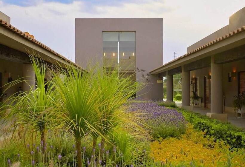 Fotos del hotel Alesia  Boutique & Spa:  8