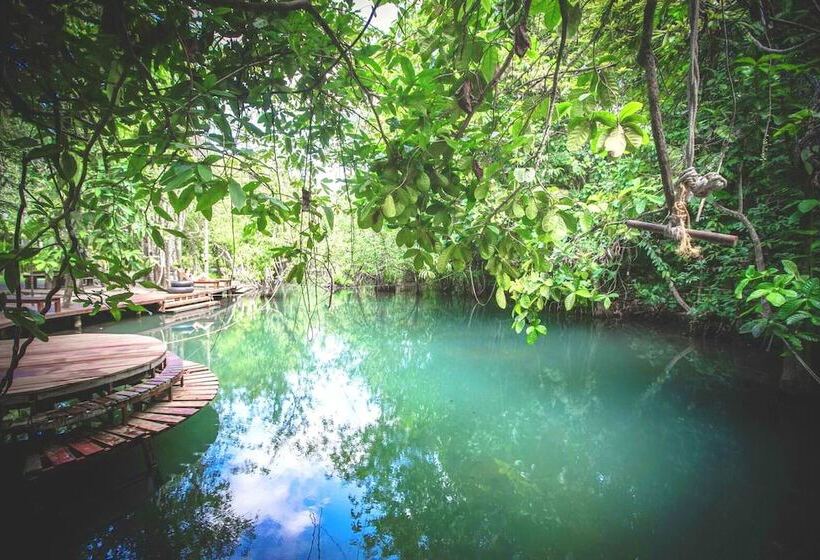 Blu Monkey Pooltara Krabi Hotel & Villas Pet Friendly
