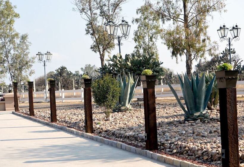 هتل Hacienda Los Picachos Spa & Pádel