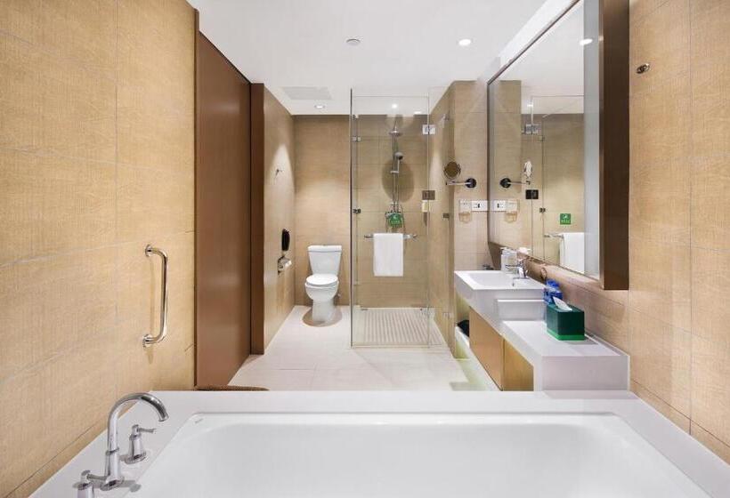 Fotos del hotel Holiday Inn Chengdu Hightech Center, An Ihg:  9