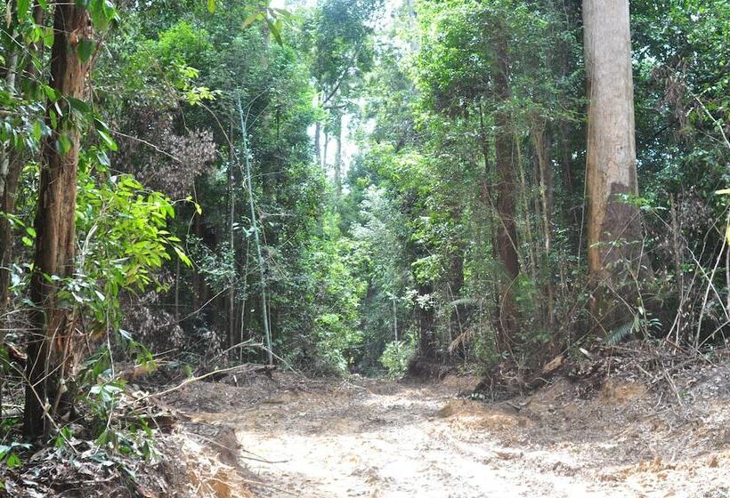 هتل Samboja Lodge