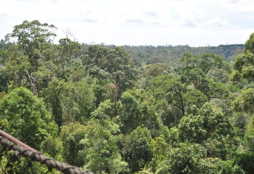 هتل Samboja Lodge