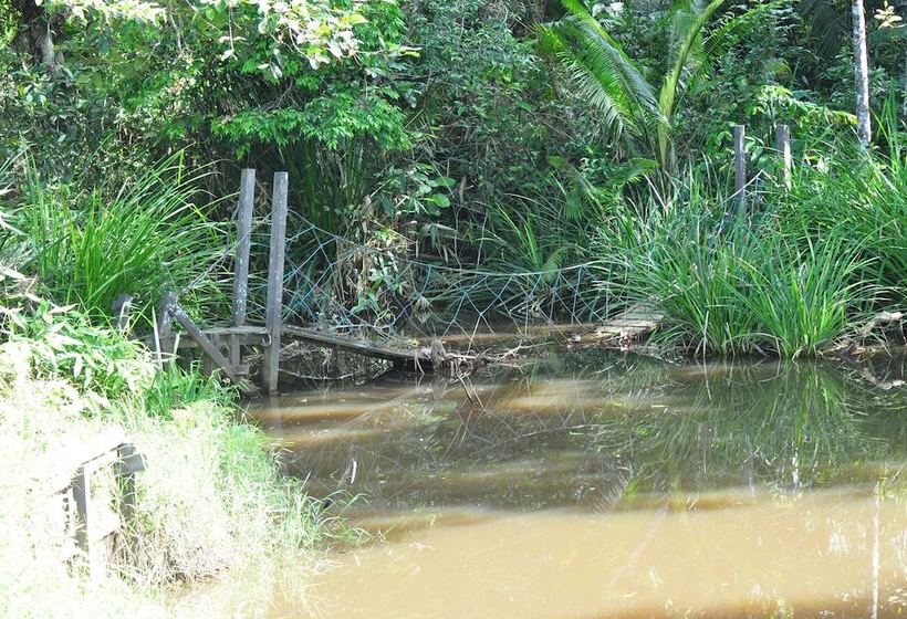 هتل Samboja Lodge