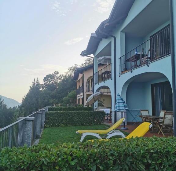 Il Vigneto