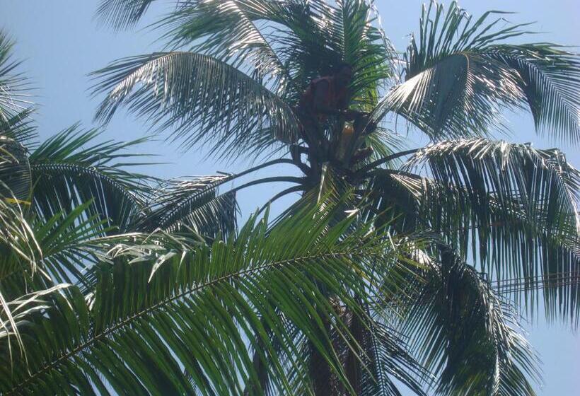 پانسیون Adara Negombo