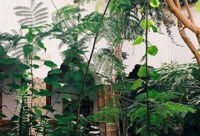 Riad Maryam Taroudant