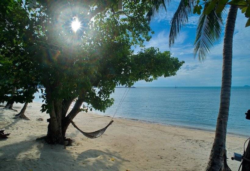 استراحتگاه At Samui Haus