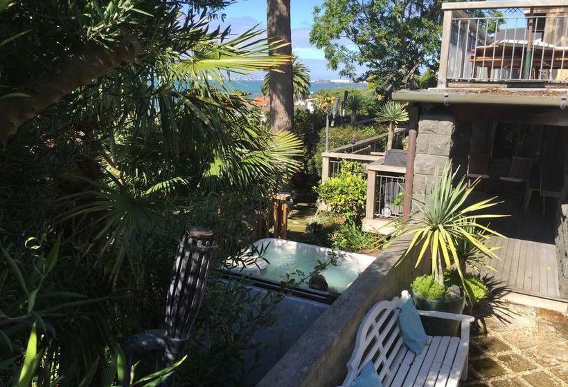 تختخواب و صبحانه Matua Lodge