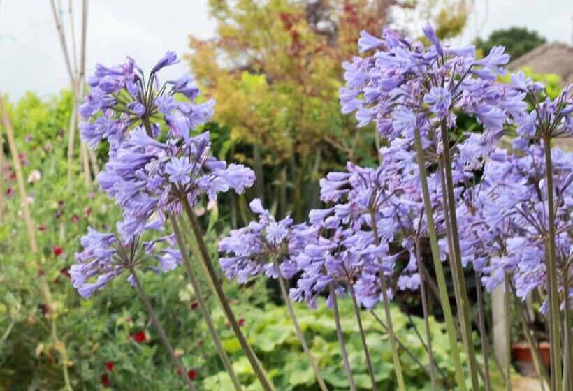 민박 The Bosham Boathouse