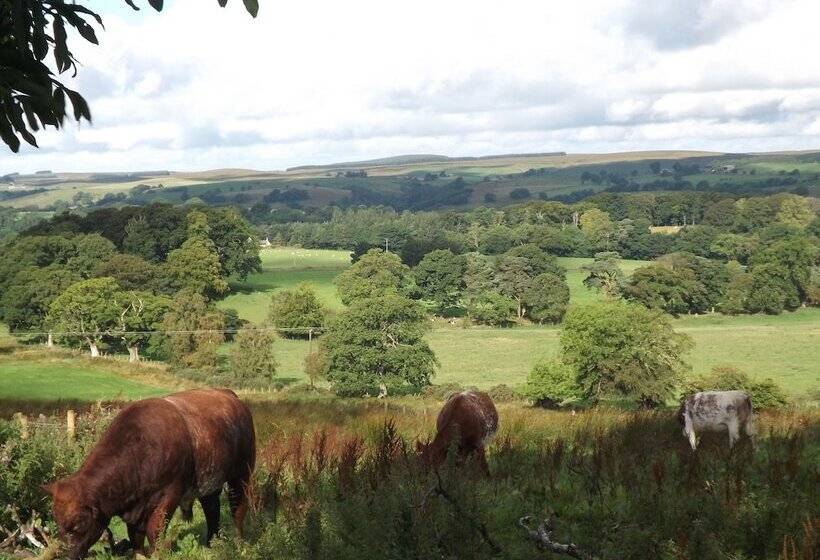 Hillis Close Farm