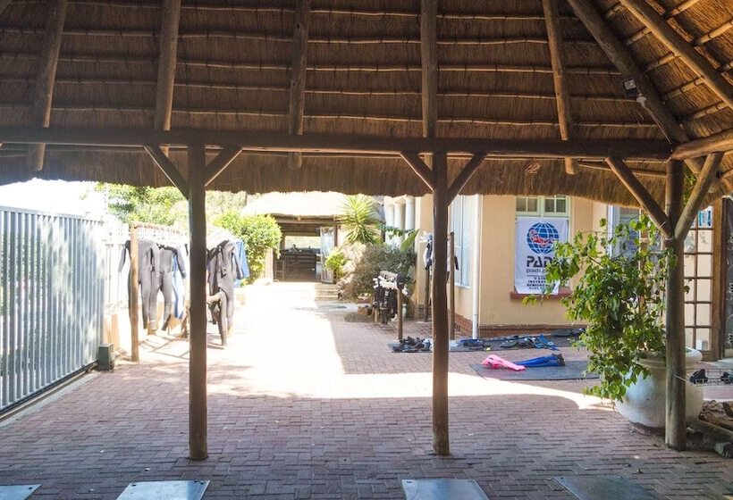 Отель Blue Ocean Dive Resort