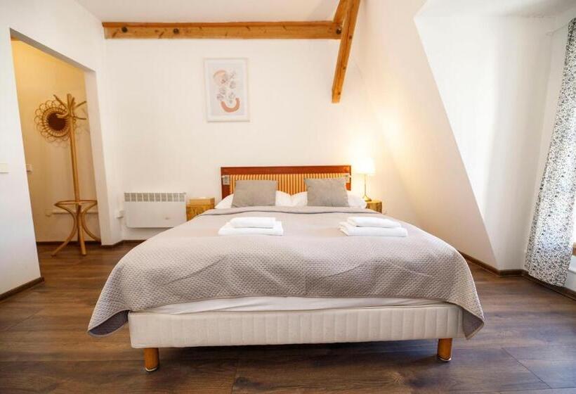 ホテル Dvůr Pecínov