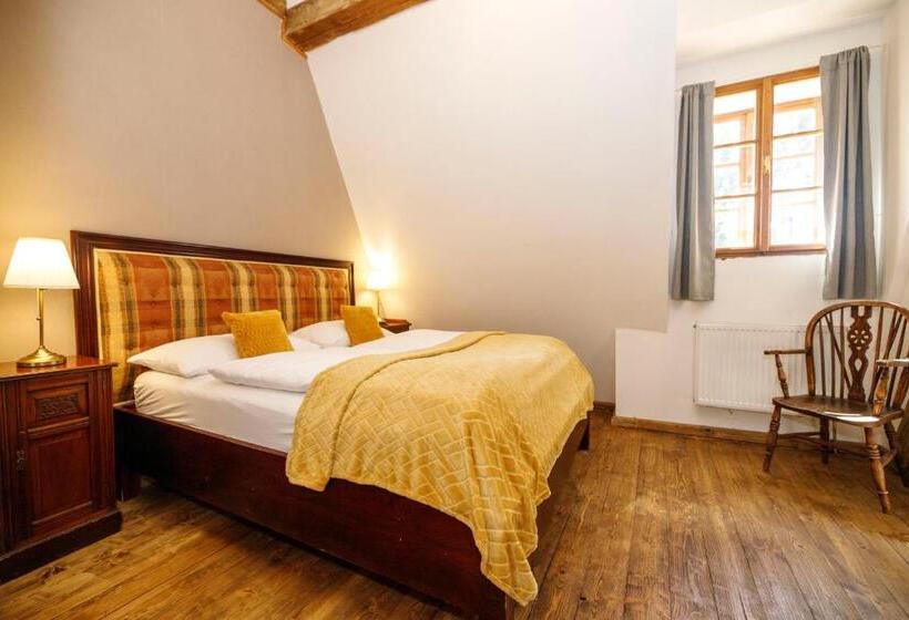 ホテル Dvůr Pecínov