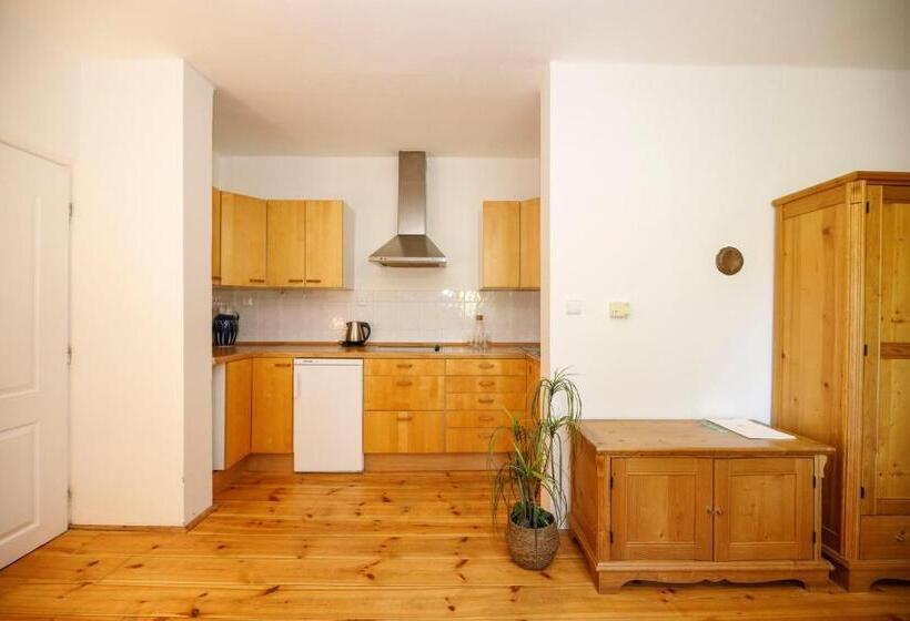 ホテル Dvůr Pecínov