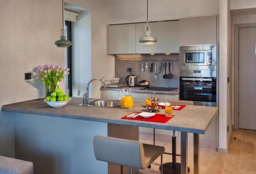 Fotos del hotel Fraser Place Antasya Istanbul:  14