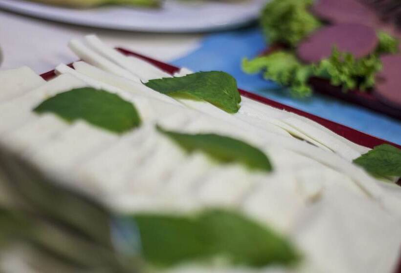 Fotos del hotel Vavien:  3