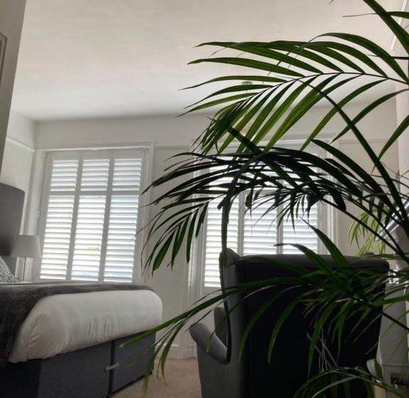 بنسيون The Esplanade